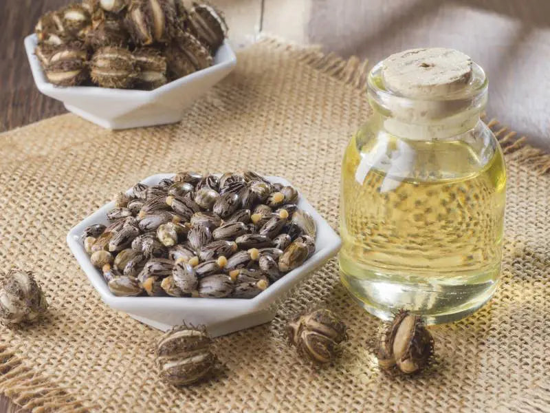 castor-seed-oil