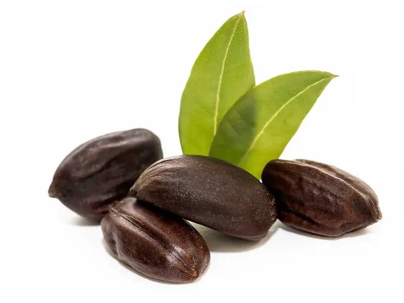 seed-oil